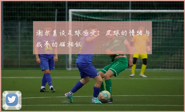 谢尔基谈足球感受：皮球的情绪与我养的猫相似