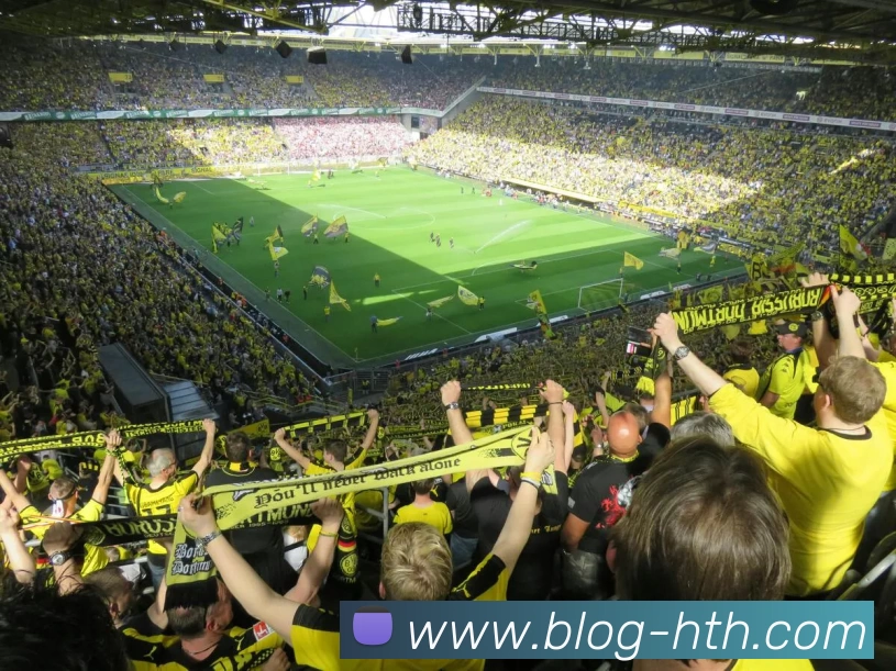 华体会服务体系