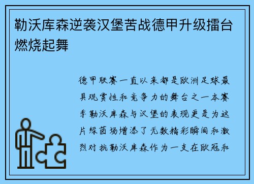 勒沃库森逆袭汉堡苦战德甲升级擂台燃烧起舞
